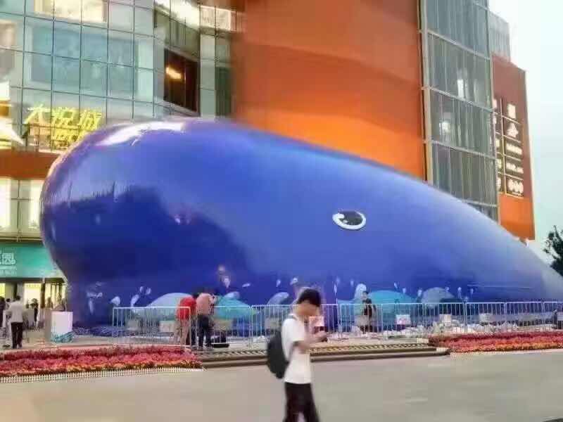 南京大藍鯨 百萬海洋球與充氣城堡，打造藍鯨市集童話盛宴